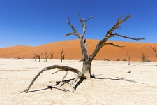 04 - Afrique Australe - 2017
